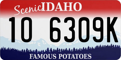 ID license plate 1O6309K