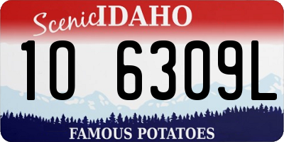 ID license plate 1O6309L