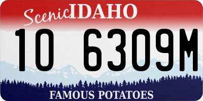 ID license plate 1O6309M
