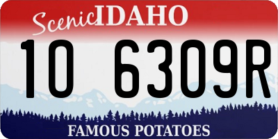 ID license plate 1O6309R
