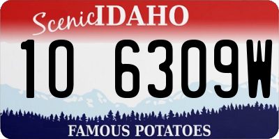 ID license plate 1O6309W