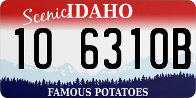 ID license plate 1O6310B