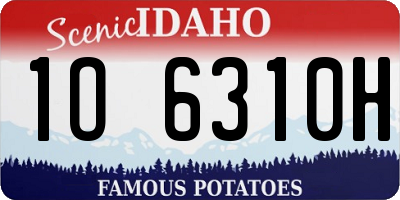 ID license plate 1O6310H