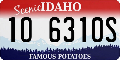 ID license plate 1O6310S