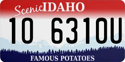 ID license plate 1O6310U