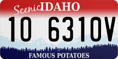 ID license plate 1O6310V