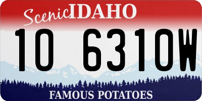 ID license plate 1O6310W