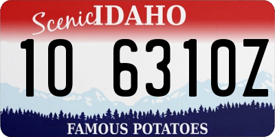 ID license plate 1O6310Z