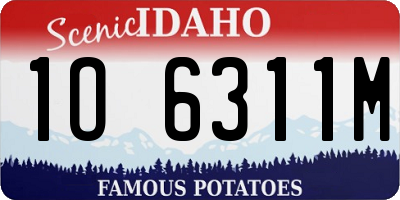 ID license plate 1O6311M