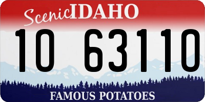 ID license plate 1O6311O