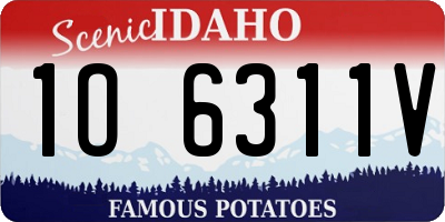ID license plate 1O6311V