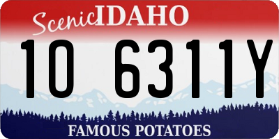 ID license plate 1O6311Y