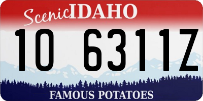 ID license plate 1O6311Z