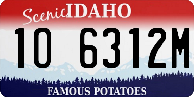 ID license plate 1O6312M