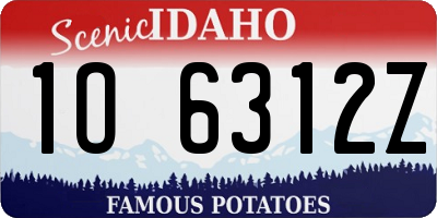 ID license plate 1O6312Z