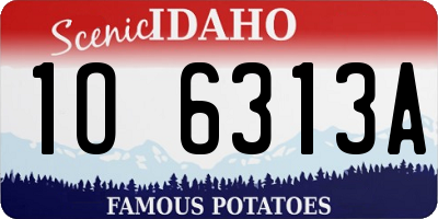 ID license plate 1O6313A