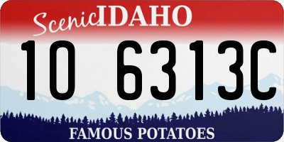 ID license plate 1O6313C