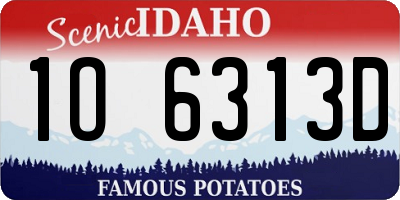 ID license plate 1O6313D