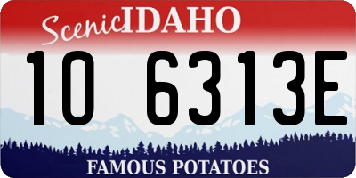 ID license plate 1O6313E