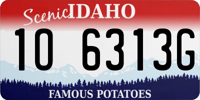 ID license plate 1O6313G