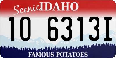 ID license plate 1O6313I