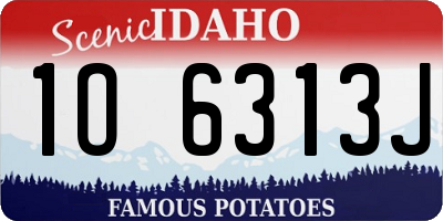ID license plate 1O6313J