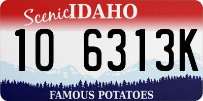 ID license plate 1O6313K