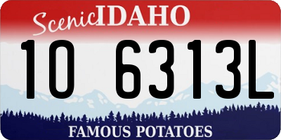 ID license plate 1O6313L
