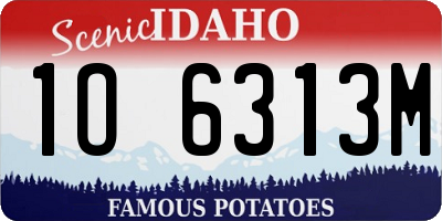 ID license plate 1O6313M