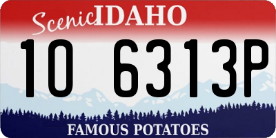 ID license plate 1O6313P