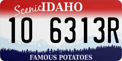 ID license plate 1O6313R