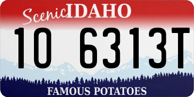 ID license plate 1O6313T