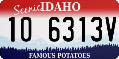ID license plate 1O6313V