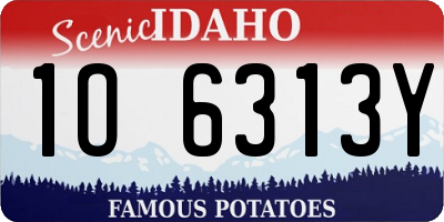ID license plate 1O6313Y