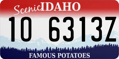 ID license plate 1O6313Z