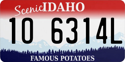 ID license plate 1O6314L