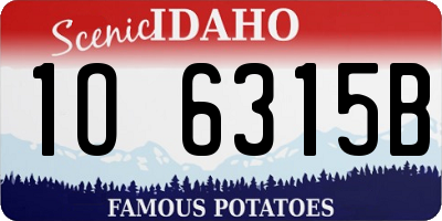 ID license plate 1O6315B
