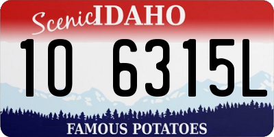 ID license plate 1O6315L