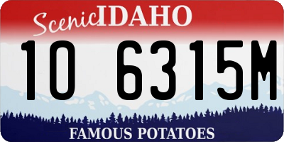ID license plate 1O6315M