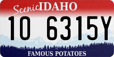 ID license plate 1O6315Y