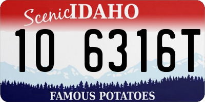 ID license plate 1O6316T