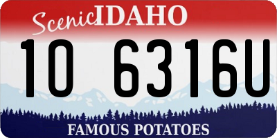 ID license plate 1O6316U