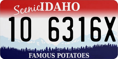 ID license plate 1O6316X
