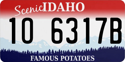 ID license plate 1O6317B