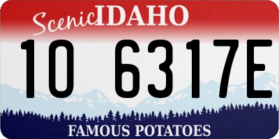 ID license plate 1O6317E