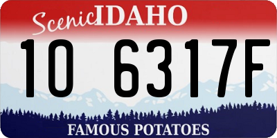 ID license plate 1O6317F