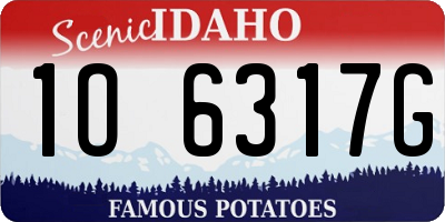 ID license plate 1O6317G