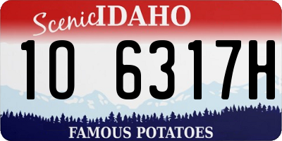 ID license plate 1O6317H