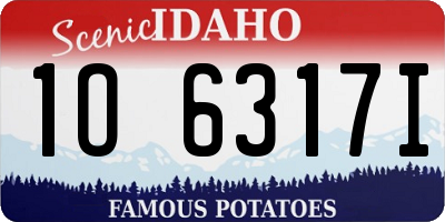 ID license plate 1O6317I