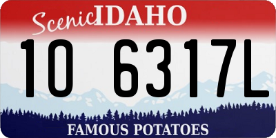 ID license plate 1O6317L